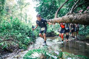 BIB: 
                            <button type="button" onclick="openModal(25448759)" class="btn btn-primary btn-sm float-right btn-popup" data-toggle="modal" data-target=".modal-high-quality">
                        <i class="fas fa-shopping-cart"></i> Add to Cart
                    </button>
                                            <button type="button" onclick="isThisMe(25448759, true)" class="btn btn-success btn-sm float-right btn-popup btn-isme hidden" data-toggle="tooltip" data-placement="bottom" title="นี่คือรูปของคุณใช่ไหม คลิกที่นี่เพื่อเอาเข้าอัลบั้ม">
                        <i class="fas fa-plus"></i> Add to album
                    </button>
                    <button type="button" onclick="isThisMe(25448759, false)" class="btn btn-warning btn-sm float-right btn-popup btn-isnotme hidden">
                        <i class="fas fa-ban"></i> Remove from album
                    </button>